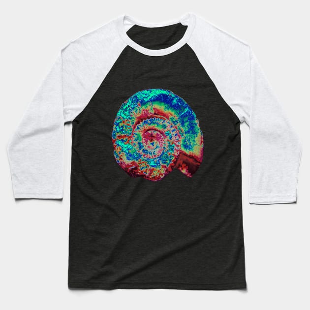 Ammonite Baseball T-Shirt by Petemoyes